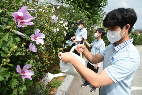 서울 오산고등학교 학생들이 LG상록재단이 무상 보급한 무궁화 나무를 돌보는 모습.