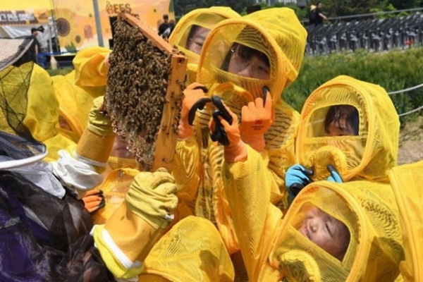 포스코이앤씨가 20일 인천 송도 센트럴파크 테라스정원에서 어린이 꿀벌 축제를 열어 미래세대 꿀벌 체험 교육, 벌 키링 만들기, 생물다양성 페이스페인팅 등 다양한 체험 프로그램을 진행하고 있다. 포스코이앤씨