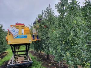 쿠팡, 기후 변화 직격탄 맞은 사과 농가 돕기…‘우박 사과’ 60톤 매입