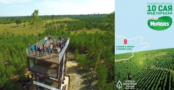 몽골 유한킴벌리숲 전경 및 몽골 현지 소비자 캠페인 ‘몽골을 푸르게’ 심벌 모습.유한킴벌리