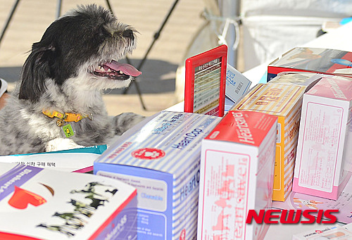 서울 중구 서울광장에서 열린 '2015 서울건강페스티벌'에 참석한 시민이 동물용 의약품 부스에 복약지도를 받고 있다. 뉴시스