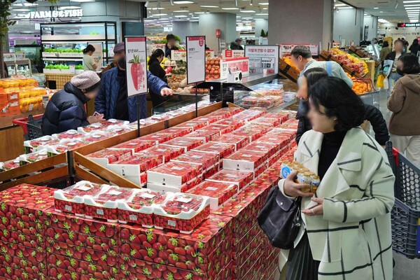 서울 송파구에 위치한 롯데마트 제타플렉스 잠실점 딸기 매대 전경.<롯데마트>