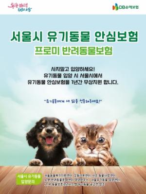 DB손해보험-서울시, 유기동물 입양 활성화 ‘앞장’
